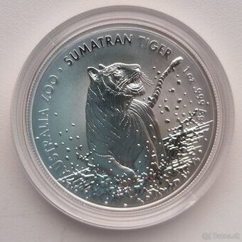 Dollar Australia ZOO - 2020 - Tiger Sumaterský