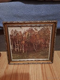 Pôsobivý obraz krajiny v zdobenom zlatom ráme - Brezový háj