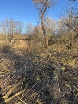 Darujem palivove drevo za odvoz