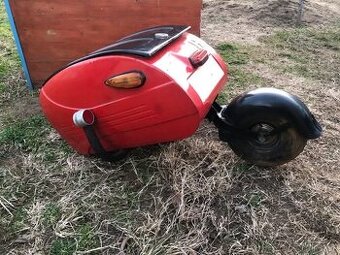 Pav 40