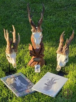 Predám knihu Great Bucks Club 200