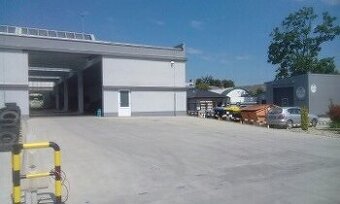Hala Mier Hlohovec Prenajom - 1