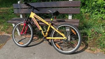 Author detsky bicykel velkosti 24