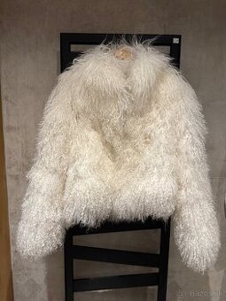 Mongolska ovecka - 1