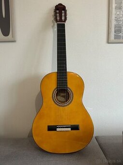 gitara Valencia VC254