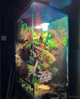 Bioaktívne terárium + Felzumy Madagaskarské