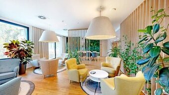 3D, prenájom, unikátne kancel. priestory Zuckermandel, Staré