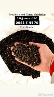 Predám slovenskú čiernu čistenú slnečnicu