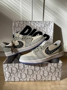Nike Dior Air Jordan