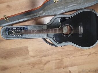 12 strunové gitara