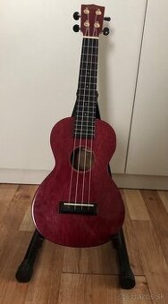 Koncertné ukulele