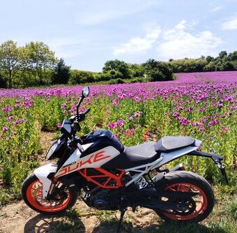 KTM DUKE - 390, r.2017