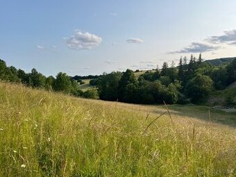 Predám pozemok 8 100 m² – Horná Mičiná