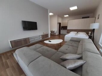 Voľný od 01.07. Krásny priestranný byt/apartmán