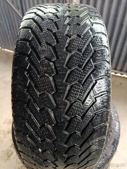 Nexen Winguard 215/55 R17 zimné