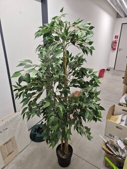 Predam umelu rastlinu FEJKA / IKEA