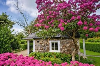 Rekreačný domček s vinicou vo Vrábľoch na predaj - 1