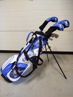 Callaway bag