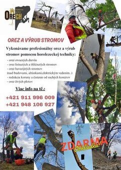 Pílenie (orez a výrub stromov), živých plotov