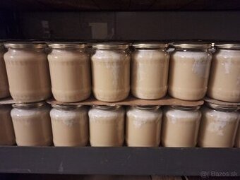 Predam 100kg  repkovy med