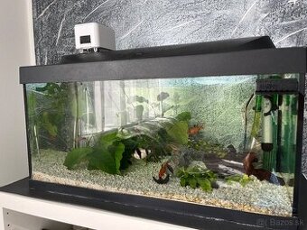 Aquarium