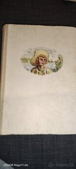 Dobrodružstvá Huckleberryho Finna