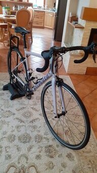 SPECIALIZED + Thule 591 ProRide.
