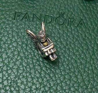 Pandora bicolor Nymfa