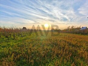 ROZĽAHLÝ POZEMOK S ROZLOHOU VIAC AKO 30 ÁROV | OKRES KOMÁRNO - 1