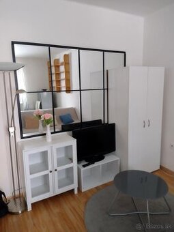Ponúkam do dlhodobého prenájmu jednoizbový byt
