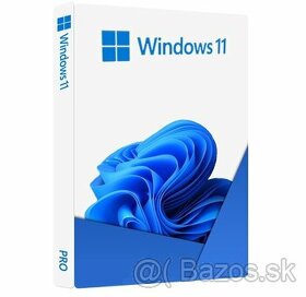 Microsoft Windows 10 / 11 Pro - 1