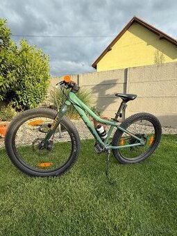 Scott Roxter 24'