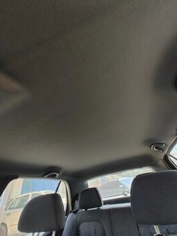 Čierna stropnica Fabia RS