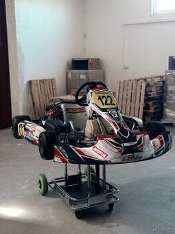 Motokara Croc Rotax Max DD2
