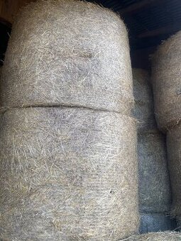 Predám slamu žitnu, pšeničnu