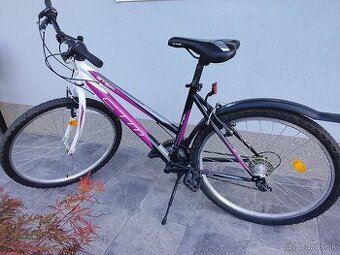 Pram damsky horsky biykel CTM
