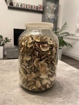 Predám sušené dubáky – tohtoročné