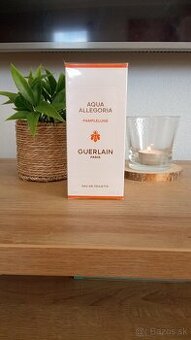 Aqua Allegoria - Pamplelune