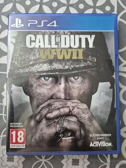 Call of Duty: WWII (PS4-PS5)