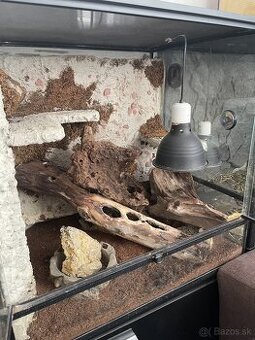 Terárium RP 60x60x45