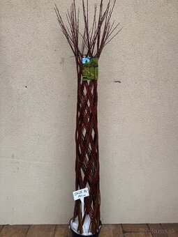 Živý plot Vavrinivec-cervienka,pletena vŕba