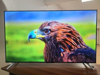 TCL 65P637, záruka do 5/2026