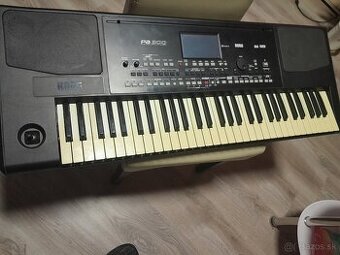 Korg pa300