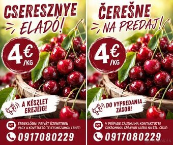 Čerešne - VK, LV