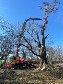 Rizikové pílenie stromov, pracovná plošina 16-37m
