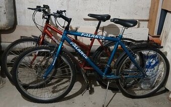 Dámsky a pánsky bicykel