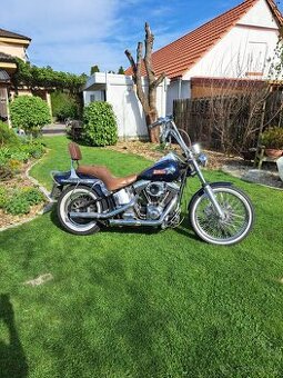 Harley Davidson fxsts