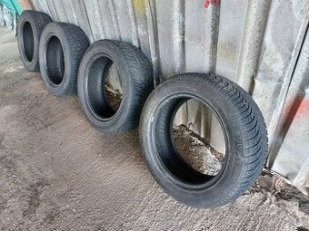 225/55 R17 - 1