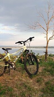 MTB 24 CTM Berry 2.0