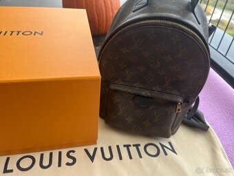 Louis Vuitton Palm Springs PM Backpack